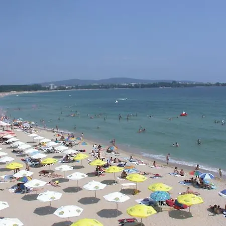 Forest 普里莫尔斯科