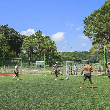 Forest 4* 普里莫尔斯科