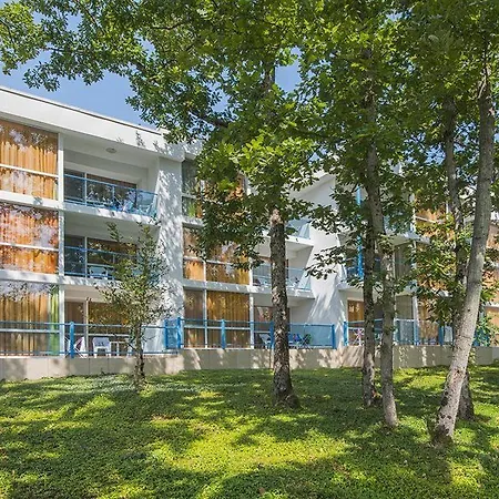 Forest 普里莫尔斯科